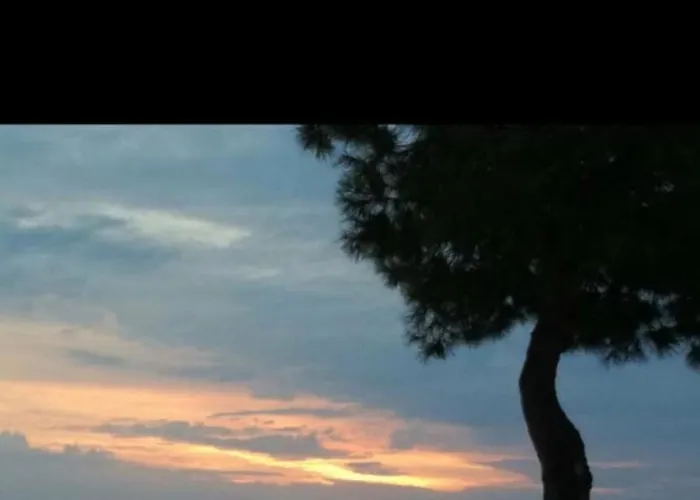 La Casa Al Mare Corallo * 蒙泰焦尔达诺